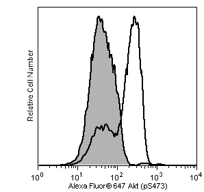 A647_pAkt_Jurkat_TDS.png